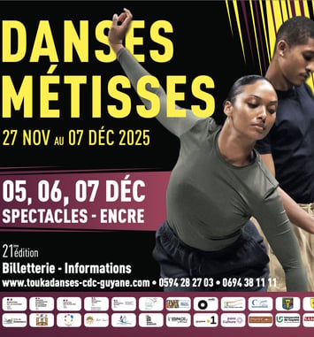 Festival Danse Métisses