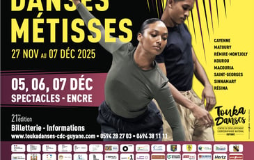 Festival Danse Métisses