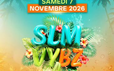 Slm Vybz 4