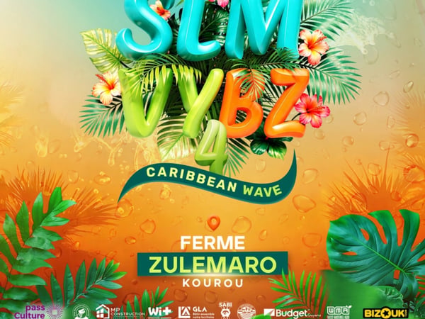 Slm Vybz 4