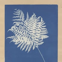 Atelier Cyanotype, photographie à Saint-Laurent-du-Maroni le 18 septembre 2026