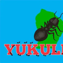 Atelier de langue Kali'na par l'Association Yukulim à Saint-Laurent-du-Maroni le 19 septembre 2026