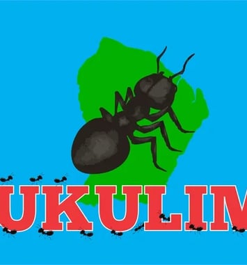 Atelier de langue Kali'na par l'Association Yukulim à Saint-Laurent-du-Maroni le 19 septembre 2026