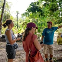 Balade découverte sur notre sentier plantes médicinales et vivrières