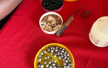 Atelier de confection de bijoux en graines à Kourou le 19 septembre 2026
