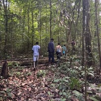 Sortie nature – À la découverte de la forêt guyanaise