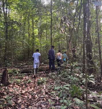 Sortie nature – À la découverte de la forêt guyanaise