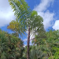 Visite du jardin de M. et Mme Mazeau