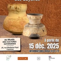 Visite libre de l'exposition "Aristé, mémoire enfouie des Guyanes"