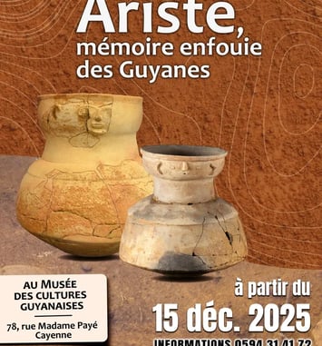Visite libre de l'exposition "Aristé, mémoire enfouie des Guyanes"