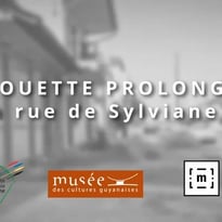 Lallouette prolongée, la rue de Sylviane : film et rencontre