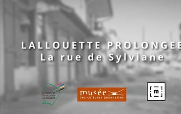 Lallouette prolongée, la rue de Sylviane : film et rencontre